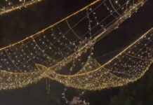 2 гражданина, совершивших хулиганство на Арбате, оштрафованы