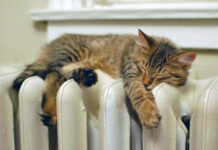 Тепловики призывают шымкентцев погасить задолженность тепло