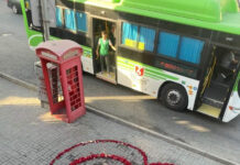 Шымкентский романтик ежедневно признается в любви лепестками роз сердце розы