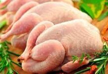 Мясо птицы подорожало на 28% курица