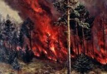 Пожар в Костанайской области. Хронология событий.