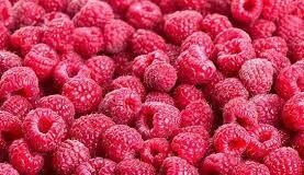 Малиновый рай создали в Туркестанской области малина