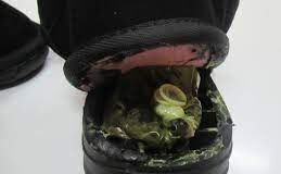 Наркотики в обуви пытались пронести через границу в Казахстан