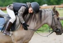 Сделать конный спорт бесплатным для детей намерены в Шымкенте конный спорт