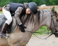 Сделать конный спорт бесплатным для детей намерены в Шымкенте конный спорт