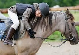 конный спорт