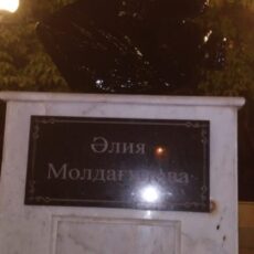 Почерневший бюст Алии Молдагуловой напугал шымкентцев Алия Молдагулова