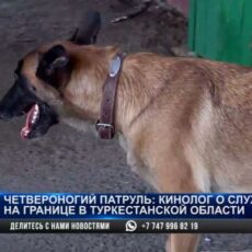 Тайник с 35 кг героина обнаружила служебная собака