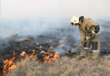 Город да степь кругом полыхали пожары