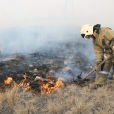 Город да степь кругом полыхали пожары