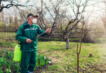 Не медь, а золото