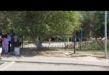 Учеников СШ № 15 эвакуировали из-за сообщения о бомбе