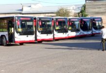 6 новых автобусов запустили в Шымкенте