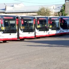 6 новых автобусов запустили в Шымкенте