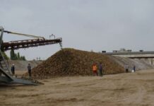 Сахарные заводы будут отпускать белый песок по 460 тенге