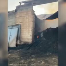 Фермеры Туркестанской области жалуются на умышленный поджог