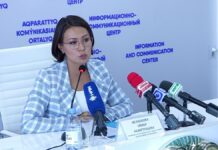 Как получить бесплатную консультацию от адвоката в Шымкенте