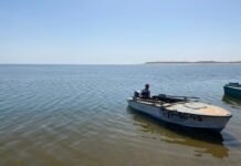 Шардаринское водохранилище будут использовать для развития региона Шардара