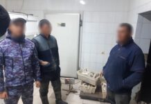 Пресекли незаконную добычу рыбы в Туркестанской области