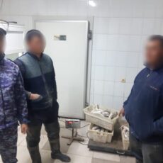 Пресекли незаконную добычу рыбы в Туркестанской области