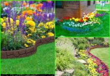 Самый цветочный двор Шымкента получит 3 млн тенге