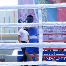 Новый этап развития бокса начинается в Казахстане