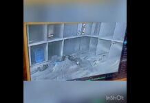 В Шымкенте 22-летнего парня насмерть придавило деревянным брусом