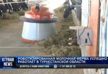 Роботизированная молочная ферма успешно работает в Туркестанской области
