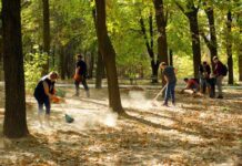 В Шымкенте россияне провели субботник