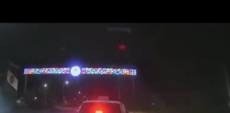 Прокатил на капоте и сбежал: Горе-водителя наказали в Туркестанской области