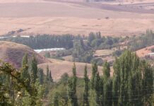 Дом ветеранов и спорткомплекс откроют в юбилей Толебийского района