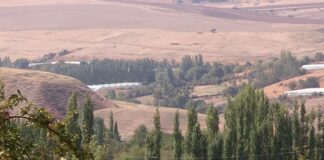 Дом ветеранов и спорткомплекс откроют в юбилей Толебийского района