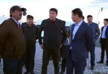 «Вас кто заставлял участвовать в тендере?»: Сатыбалды раскритиковал подрядчиков