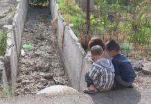 Завод в Шымкенте сбрасывает сточные воды в поливной канал