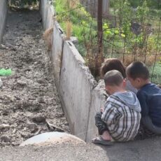 Завод в Шымкенте сбрасывает сточные воды в поливной канал
