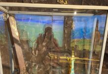 Золотая домбра покрытая бриллиантами хранится в Туркестане