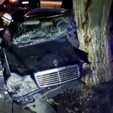 В Шымкенте 18-летний водитель влетел в дерево и погиб