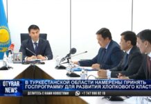 В Туркестанской области намерены принять госпрограмму для развития хлопкового кластера