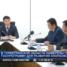В Туркестанской области намерены принять госпрограмму для развития хлопкового кластера