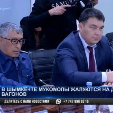 На дефицит вагонов жалуются мукомолы в Шымкенте