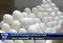 Яйца, мясо птицы и масло могут подорожать в Казахстане