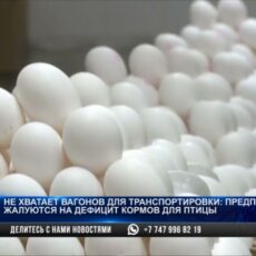 Яйца, мясо птицы и масло могут подорожать в Казахстане