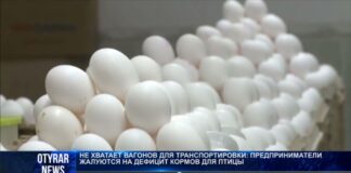 Яйца, мясо птицы и масло могут подорожать в Казахстане