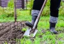 Успеть до морозов