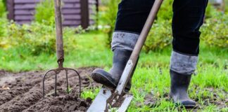 Успеть до морозов