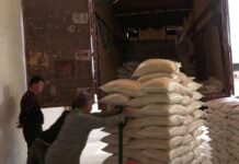 Богатым урожаем риса похвастались аграрии Туркестанской области