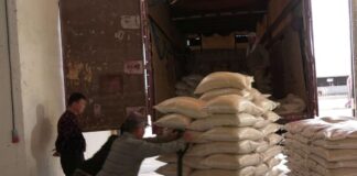 Богатым урожаем риса похвастались аграрии Туркестанской области