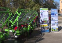 Новую технологию выращивания овощей разработали в Шымкенте