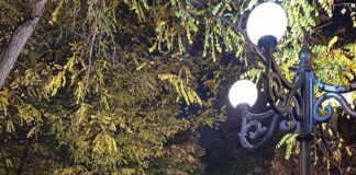 Шымкент в 90-ые. Бизнес с кровавым подбоем