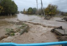 Улицы и дворы поселка затопило дождями в Туркестанской области